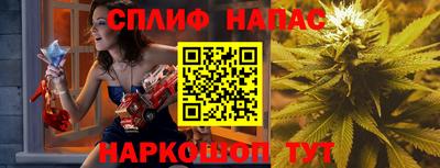 СК Кингисепп