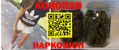 СК Кингисепп