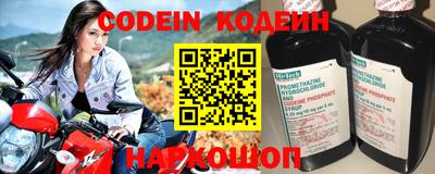 СК Кингисепп