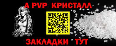 СК Кингисепп