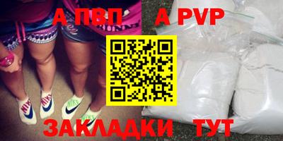 СК Кингисепп